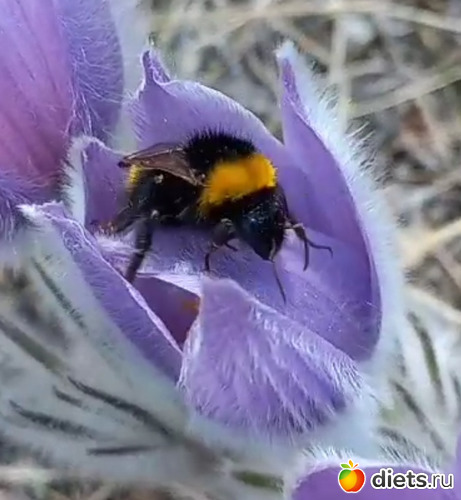 31 ����: 2023 ������+