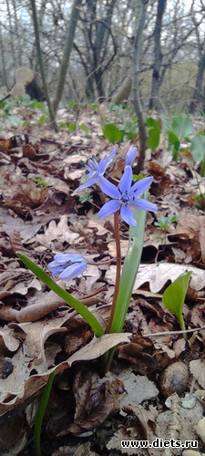 34 фото: 2023 Походы+