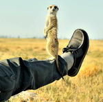 �� ����� ��������� ���� ��... ���� ����� �������, � ���������� ��������� ����������