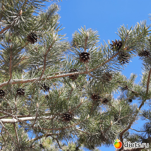 �����, ������: ������ ����/�����/���� 2023