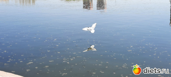 отражение в воде, альбом: Астана Зима/весна/лето 2023