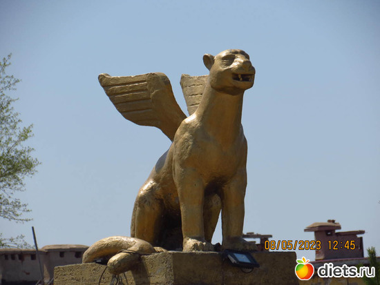 97 фото: Наши поездки-путешествия