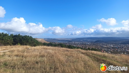 96 ����: 2023 ������+