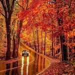 ������ � ����/ ������ �� �������/������������� � �����/ �������� ������ ��������/ ���������/ ���� ������� ���))))