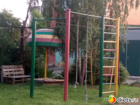 12 фото: ЦВЕТЫ