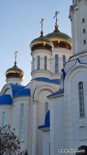 26 ����: ����� ������