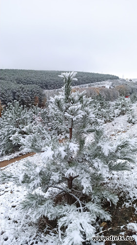 122 фото: 2023 Походы+