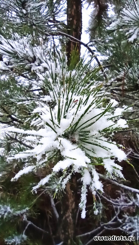 128 фото: 2023 Походы+