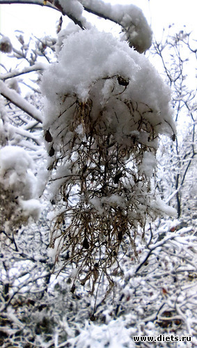 130 фото: 2023 Походы+