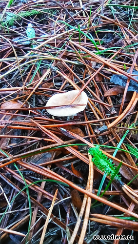 133 фото: 2023 Походы+