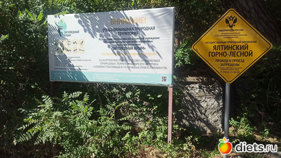 58 фото: 2023 Походы+