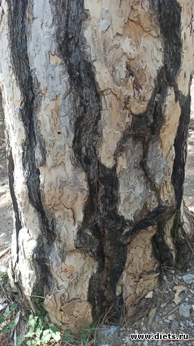 65 фото: 2023 Походы+