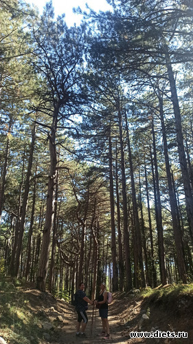 69 фото: 2023 Походы+