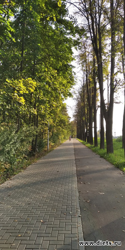 Тропа паломников, альбом: 2023-09-18 Новоиерусалимская