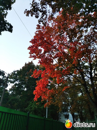 Кузьминки. Раннее утро 22 сентября 2023 года, альбом: 2023-09-22 Можайск