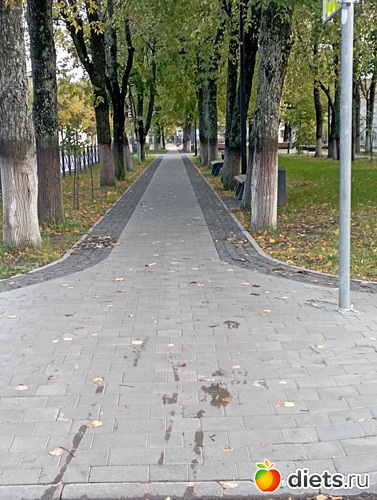 2 фото: Перспективы