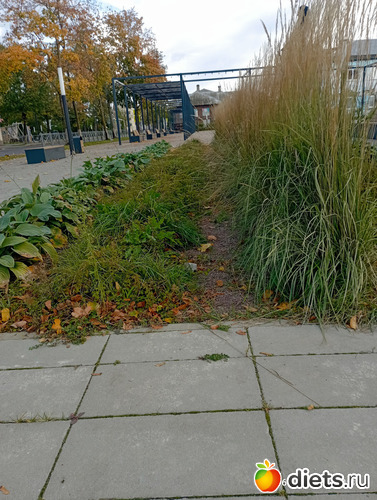 8 фото: Перспективы