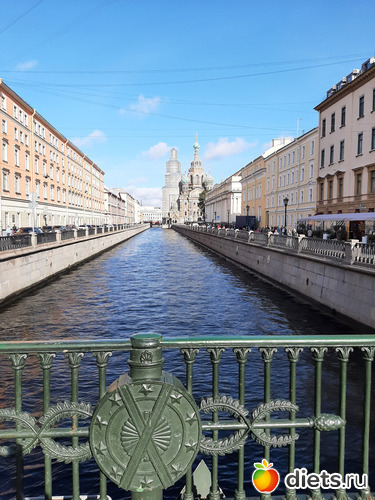 14 фото: Питер 2023 сентябрь