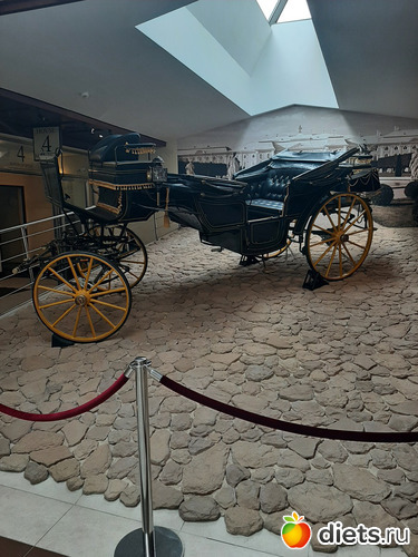 26 фото: Питер 2023 сентябрь