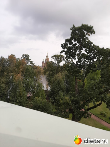 28 фото: Питер 2023 сентябрь