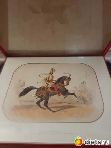 31 фото: Питер 2023 сентябрь