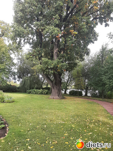 36 фото: Питер 2023 сентябрь