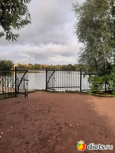 38 фото: Питер 2023 сентябрь