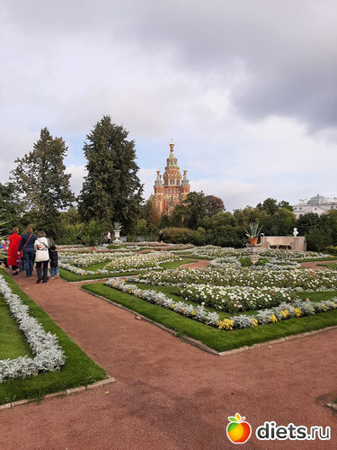 42 фото: Питер 2023 сентябрь