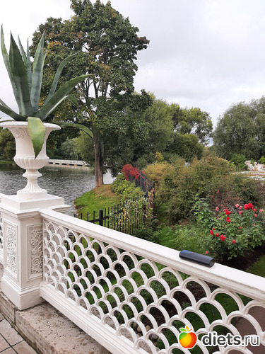 48 фото: Питер 2023 сентябрь