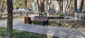 котейки гуляют