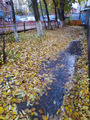 осень..