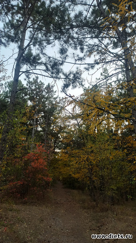 87 фото: 2023 Походы+