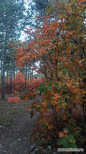 88 ����: 2023 ������+