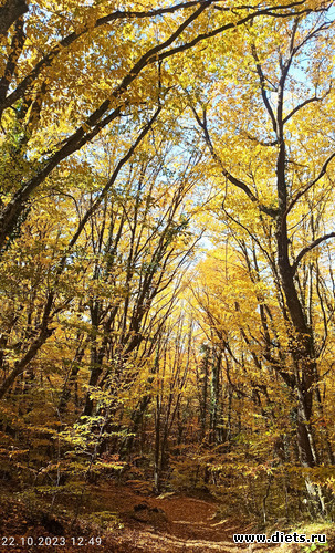 90 фото: 2023 Походы+