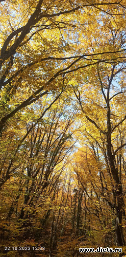 92 ����: 2023 ������+