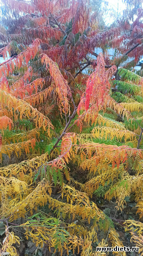 317 фото: Погода 2023