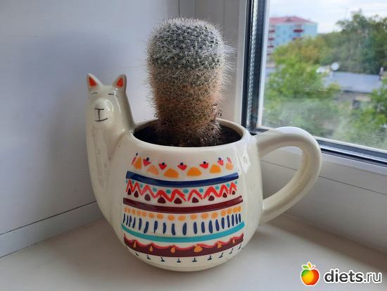         (  ,   ), : -2022/2023