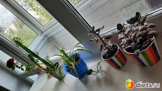 -  ,   ,      (), : -2022/2023