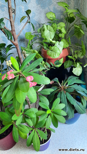   .  .... ! , !, : -2022/2023