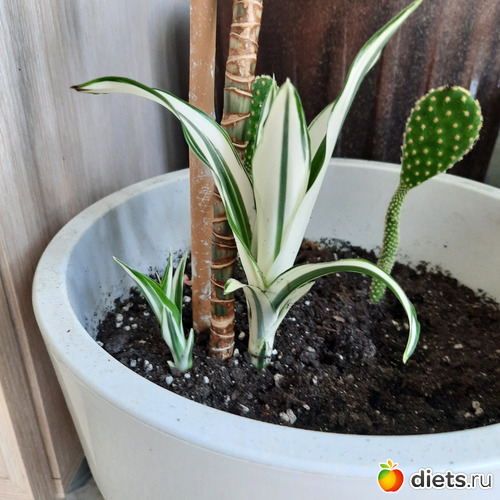    ,    .    ., : -2022/2023