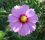 04.04.2024. Пересмотр планов на апрель.