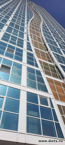 -     ,   ))), : / 2024