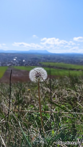 54 ����: ! ������ 2024