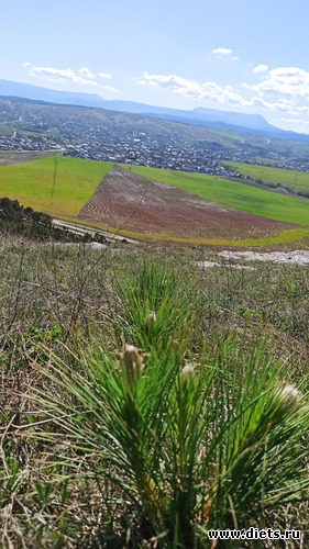 55 фото: ! Походы 2024