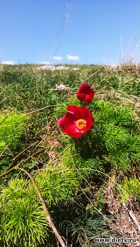 56 фото: ! Походы 2024