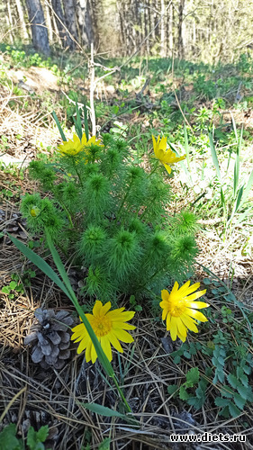 57 фото: ! Походы 2024