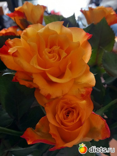 1 ����: ����� ��� � �� ������