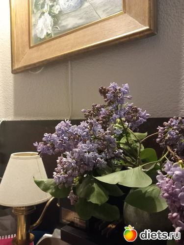 2 фото: цветы мои и не только