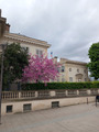весна 24