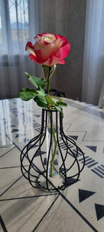 35/ � ��/ ����